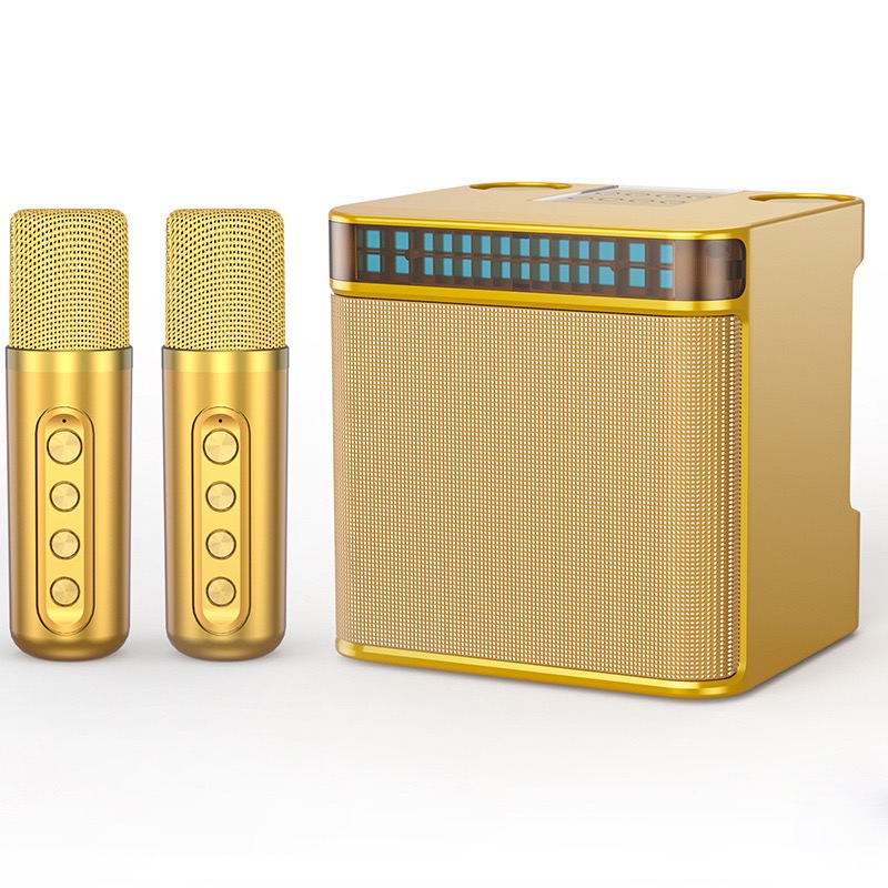 YS-223 K-Song Bluetooth Speaker